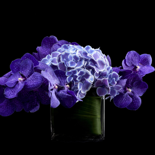 David Brown Floral Arrangement