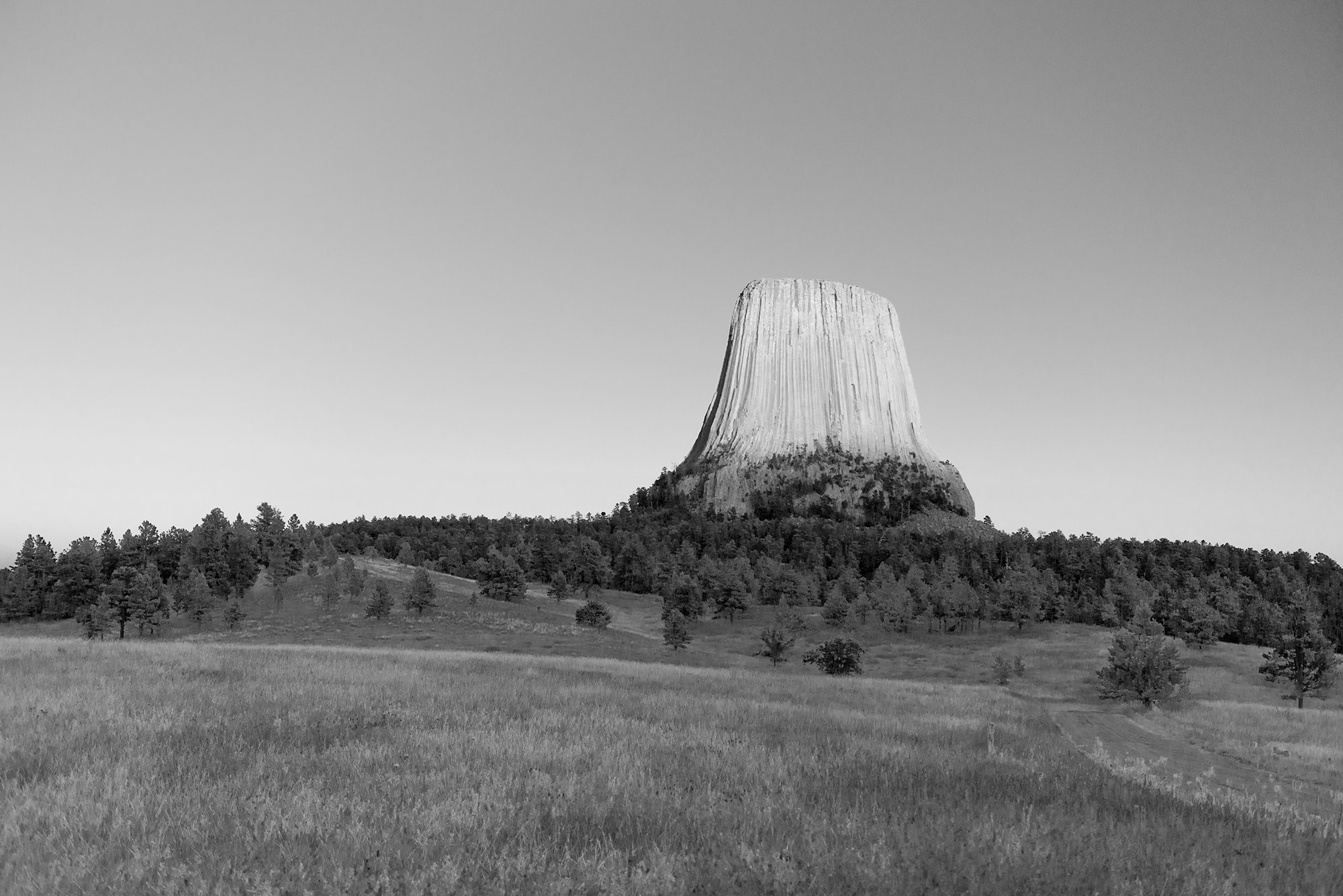 Devils Tower