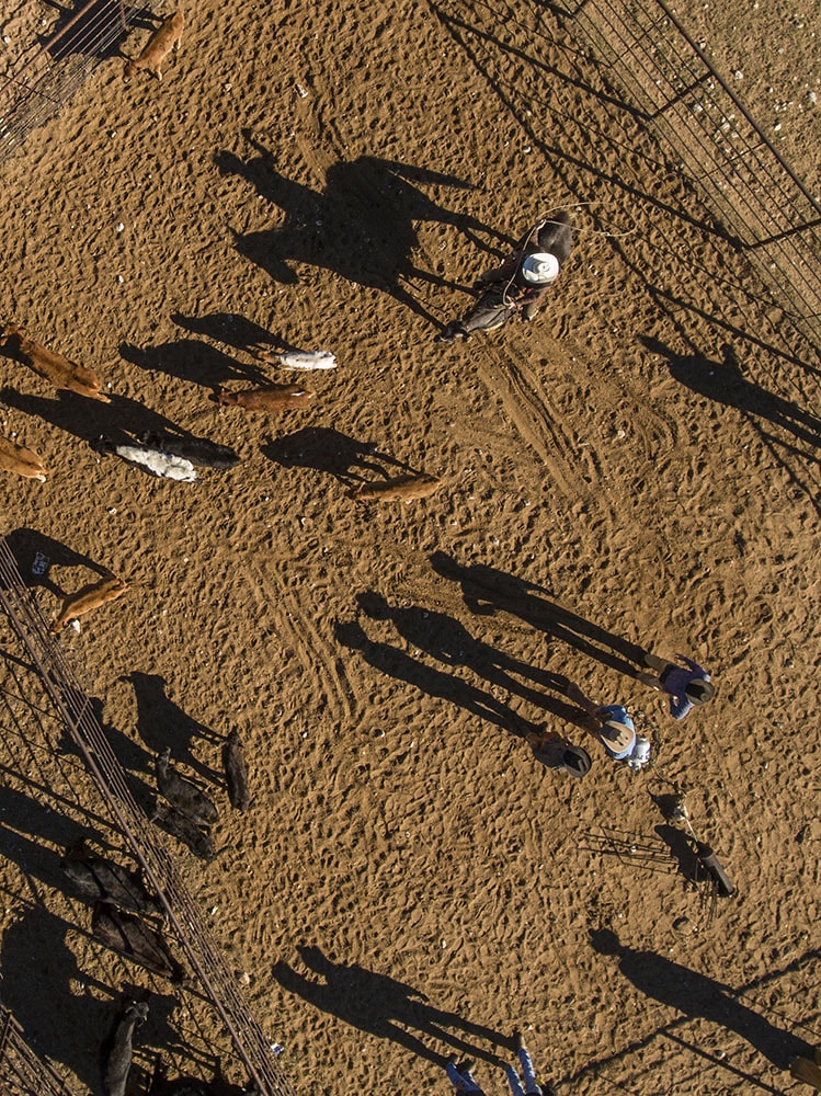 West Texas Cowboy  Drone