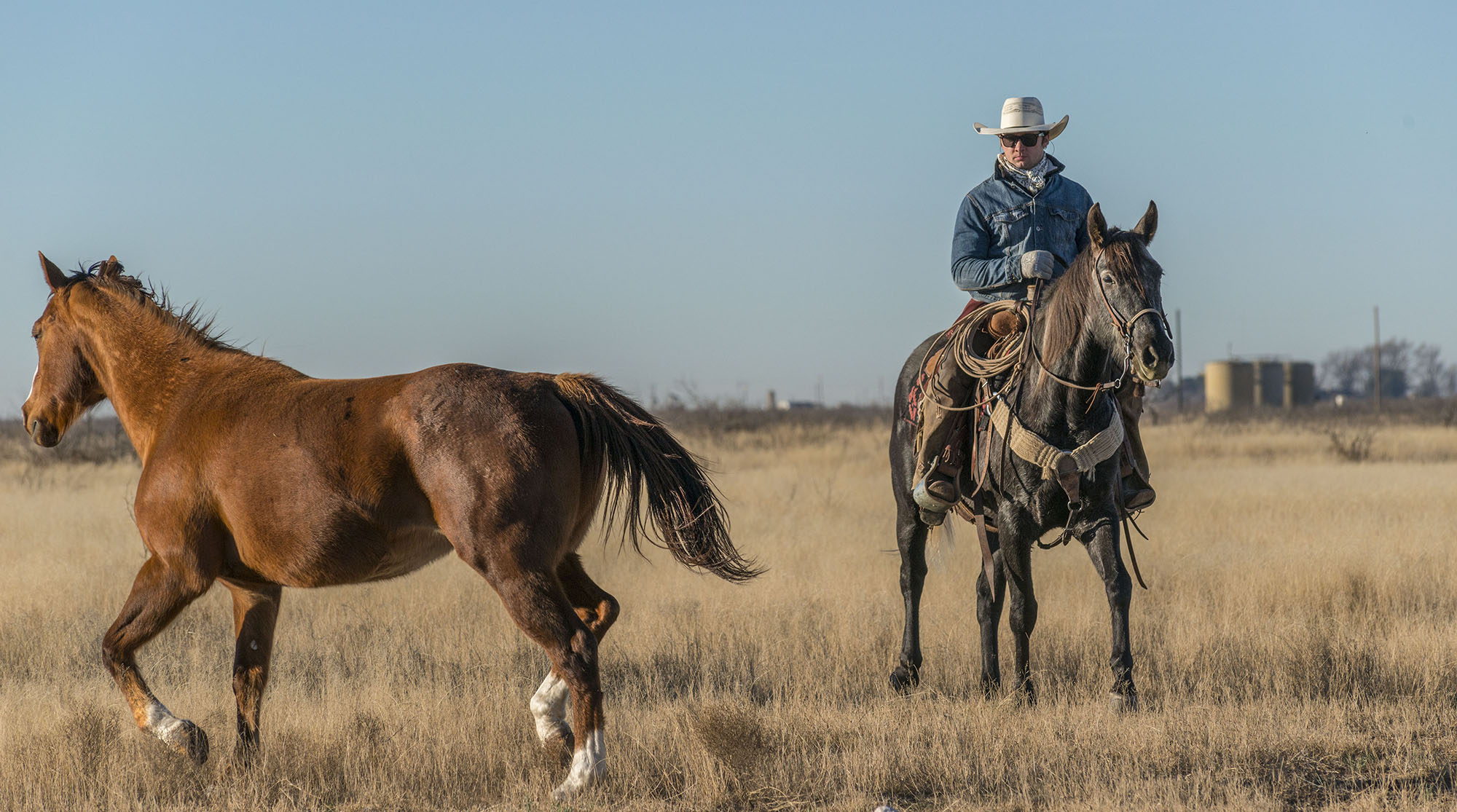 West Texas Cowboy