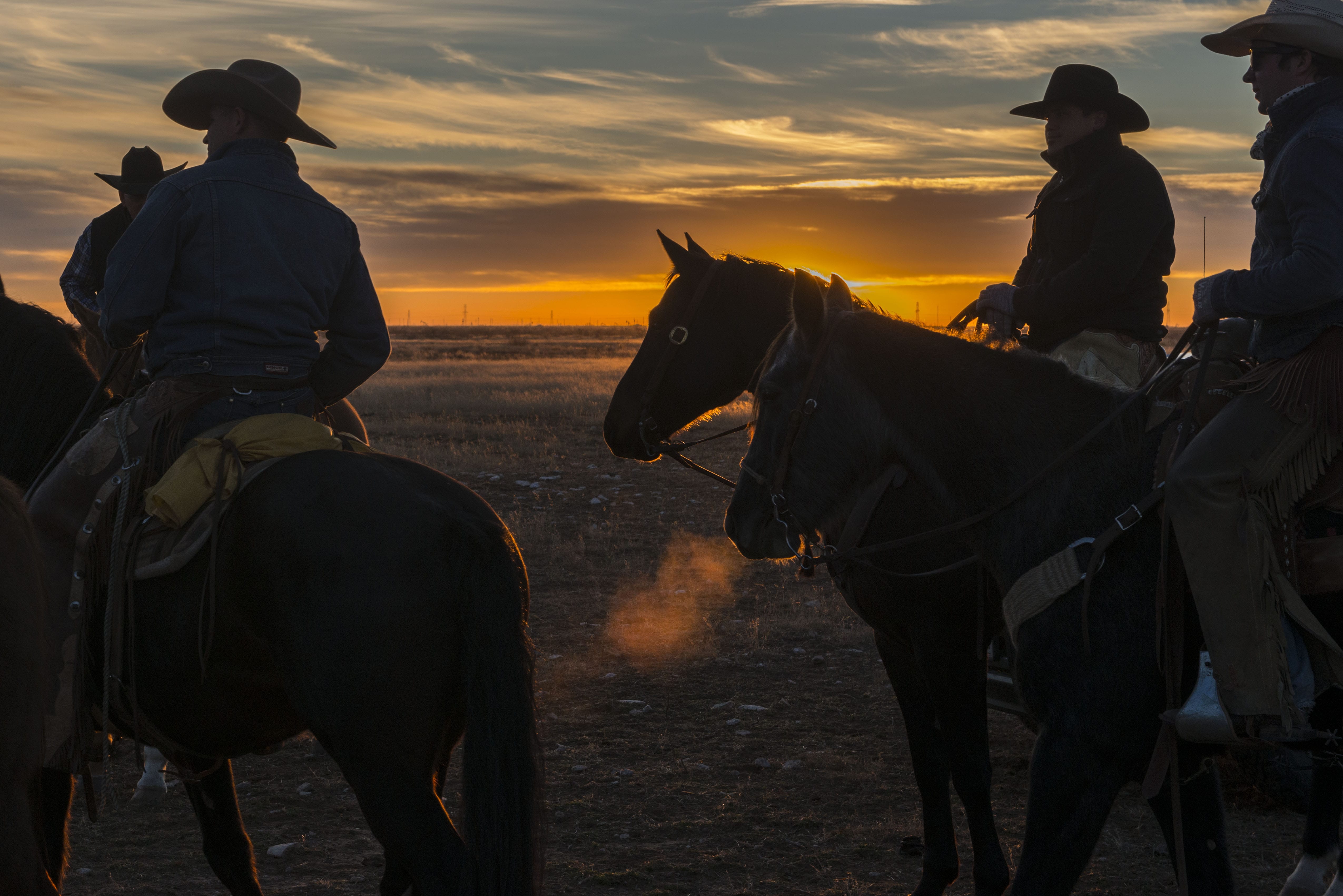 West Texas Cowboys