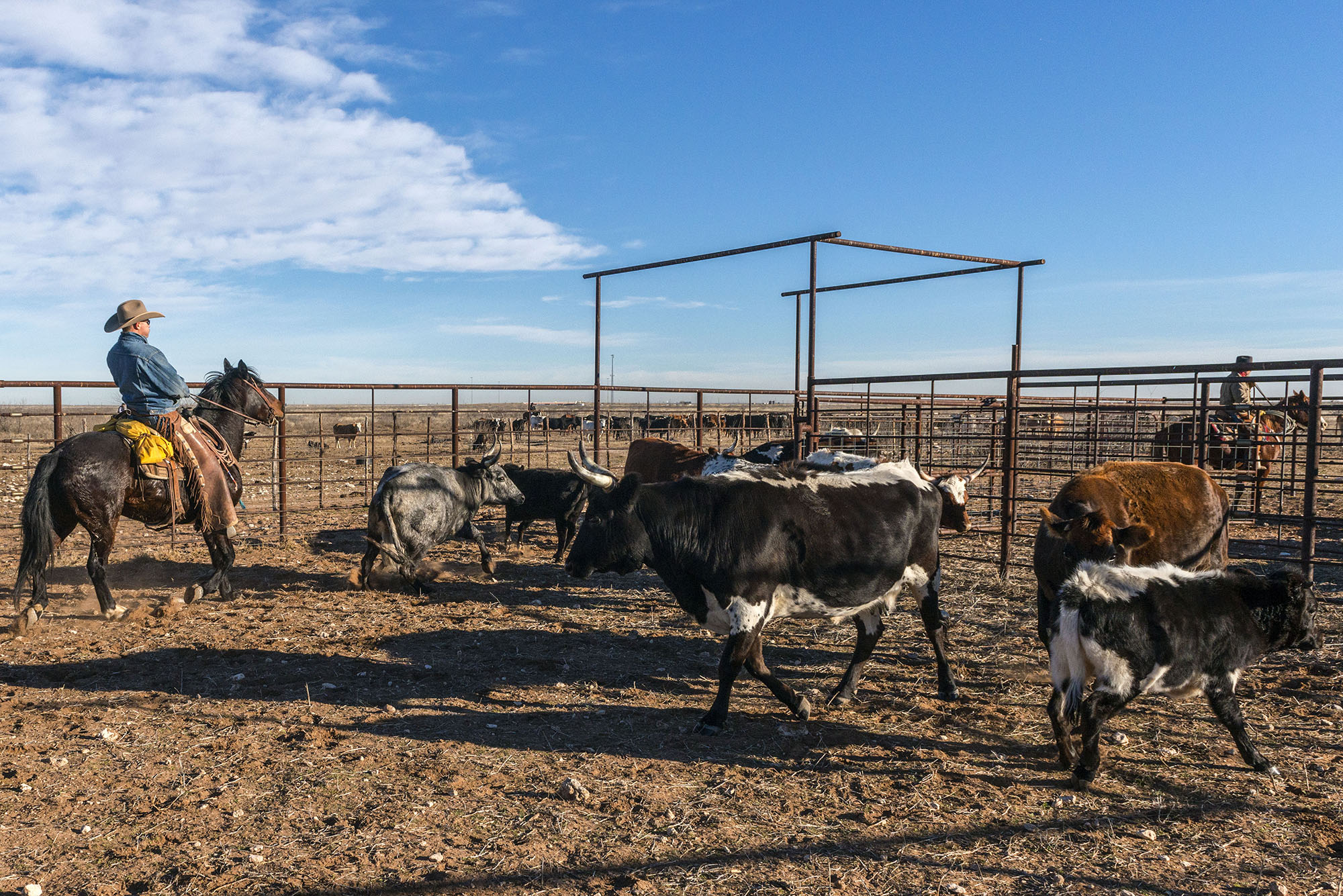 West Texas Round Up