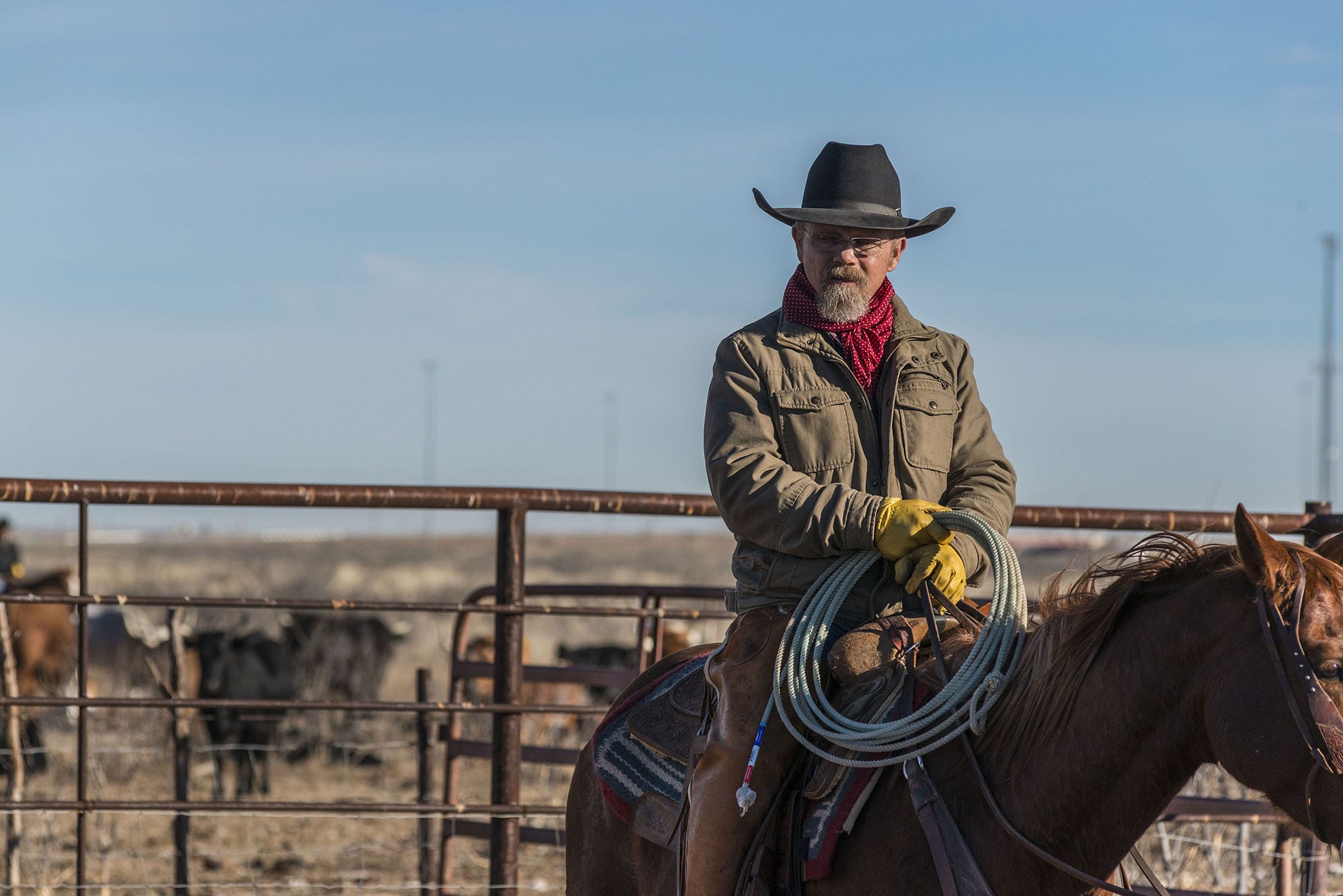 west texas cowboy